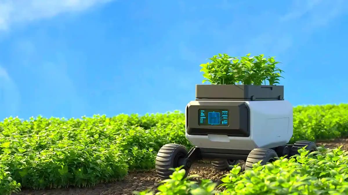 The Smart Garden: growing indoors with ease