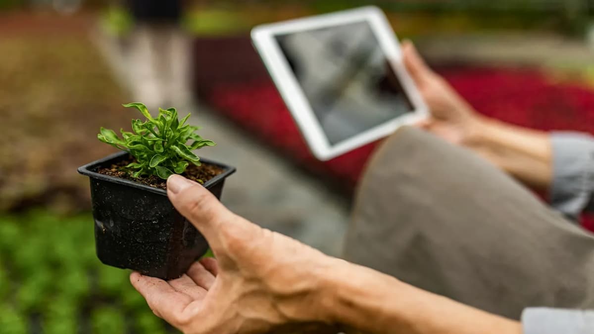 10 Environmental Benefits of a Smart Home