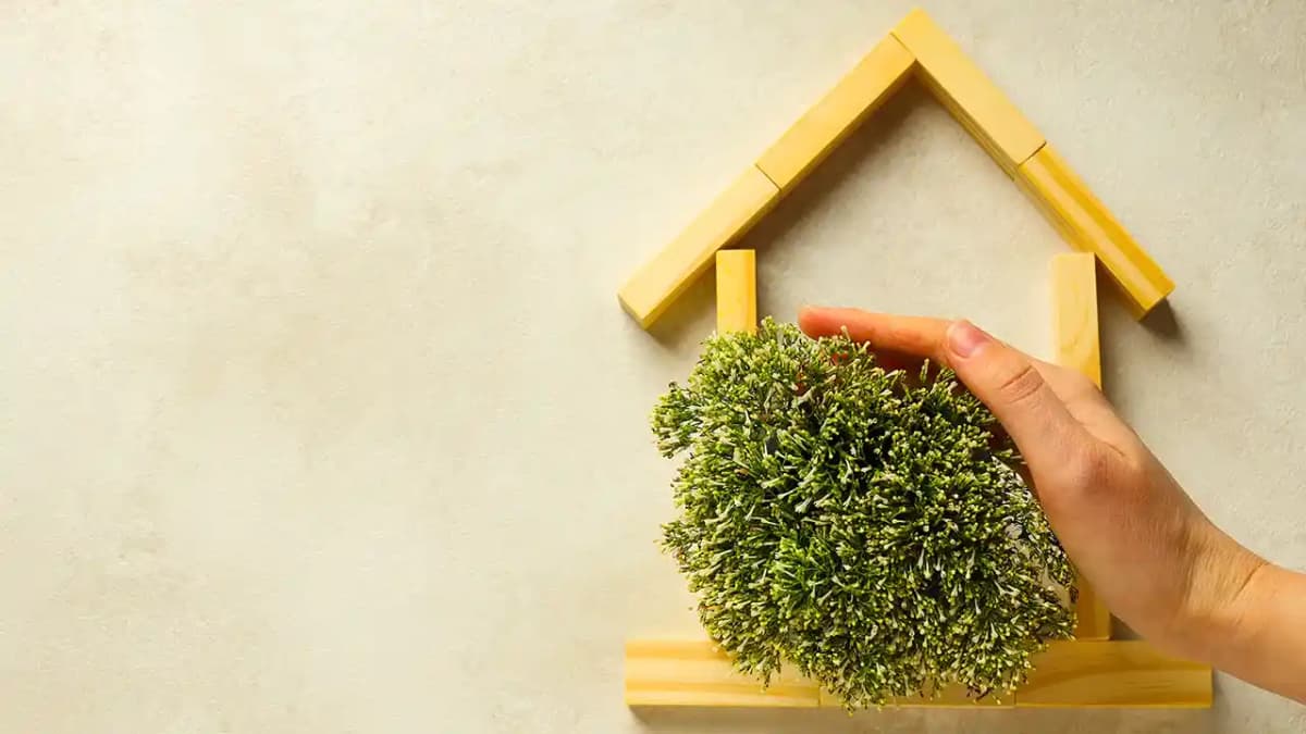 How to Create a Green Home with Sustainable Design